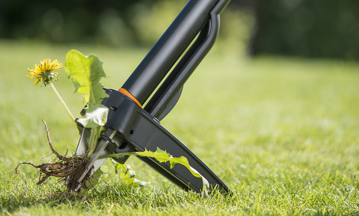 Her er ugresstabbene du bør unngå  Obsbygg.no