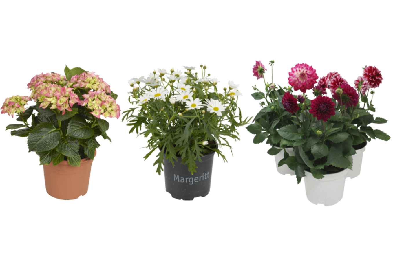Blomster hos Obs BYGG | Obsbygg.no