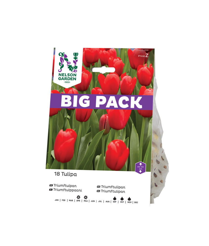 Produkt miniatyrebild Høstløk Tulipan rød