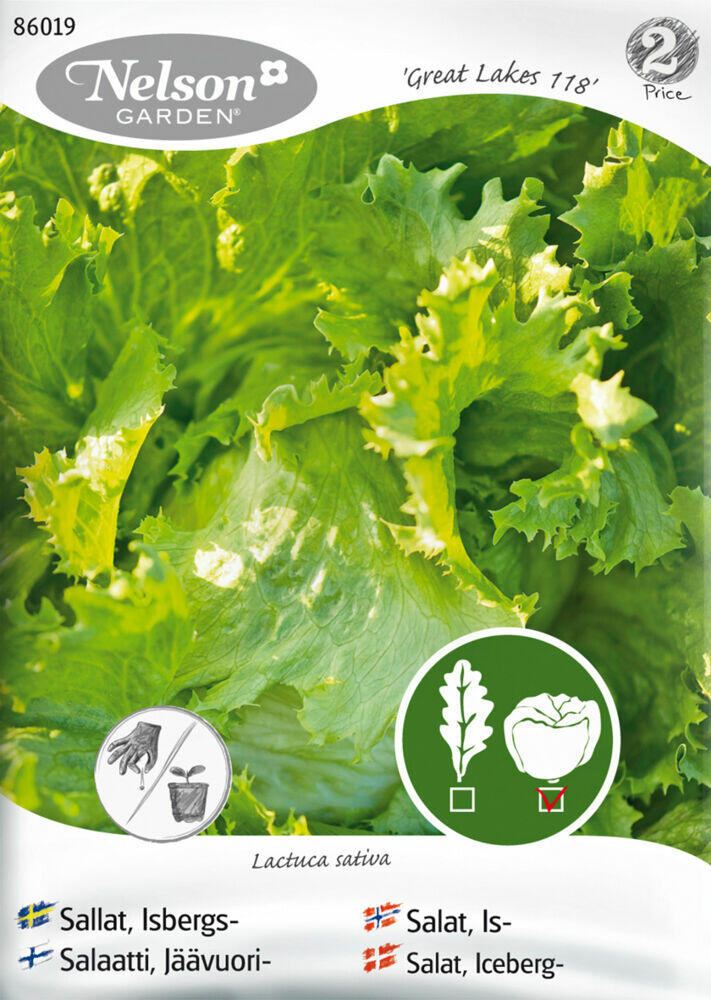 Produkt miniatyrebild Nelson Garden frø Salat, Is-, Great Lakes 118