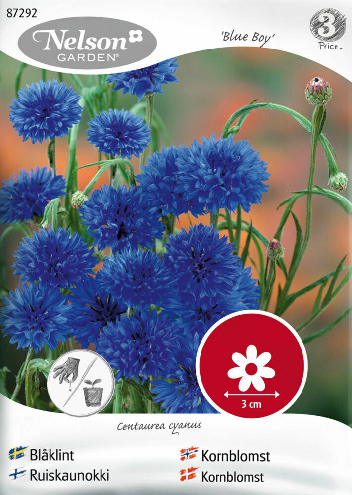 Produkt miniatyrebild Nelson gardfen frø Kornblomst, Blue Boy, blå