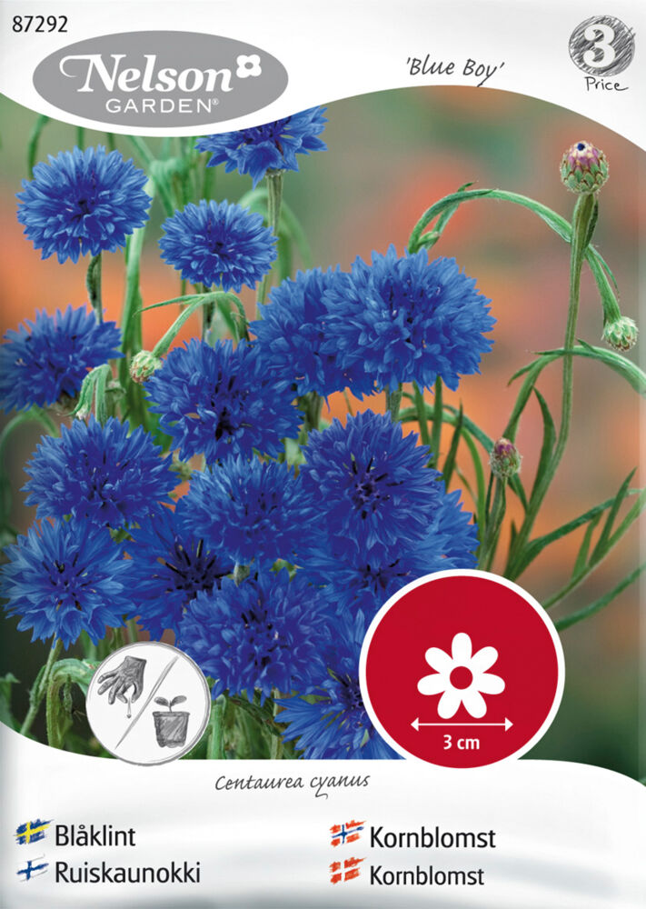 Produkt miniatyrebild Nelson gardfen frø Kornblomst, Blue Boy, blå