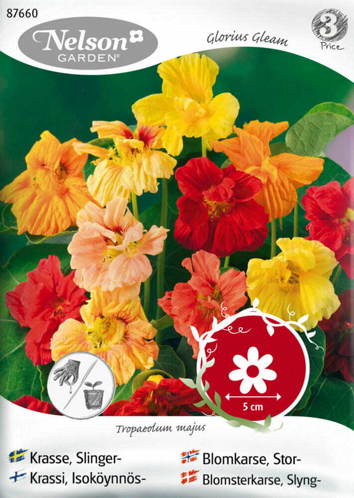 Produkt miniatyrebild Nelson Garden frø Blomkarse, Stor, Glorius Gleam