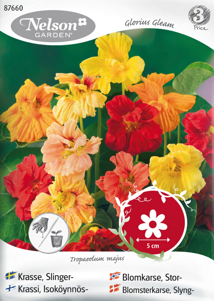 Produkt miniatyrebild Nelson Garden frø Blomkarse, Stor, Glorius Gleam