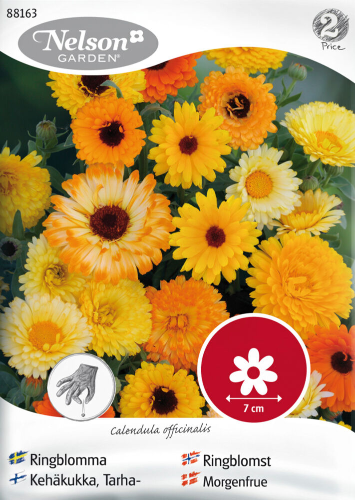 Produkt miniatyrebild Nelson Garden frø Ringblomst, blandede farger