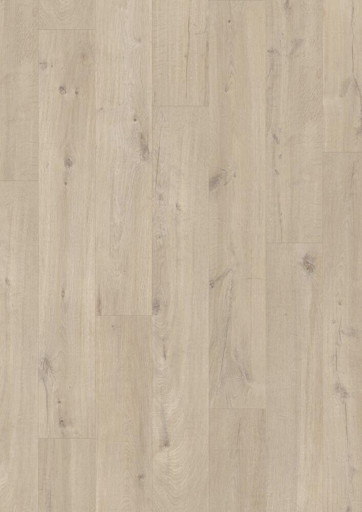SAND BEACH OAK