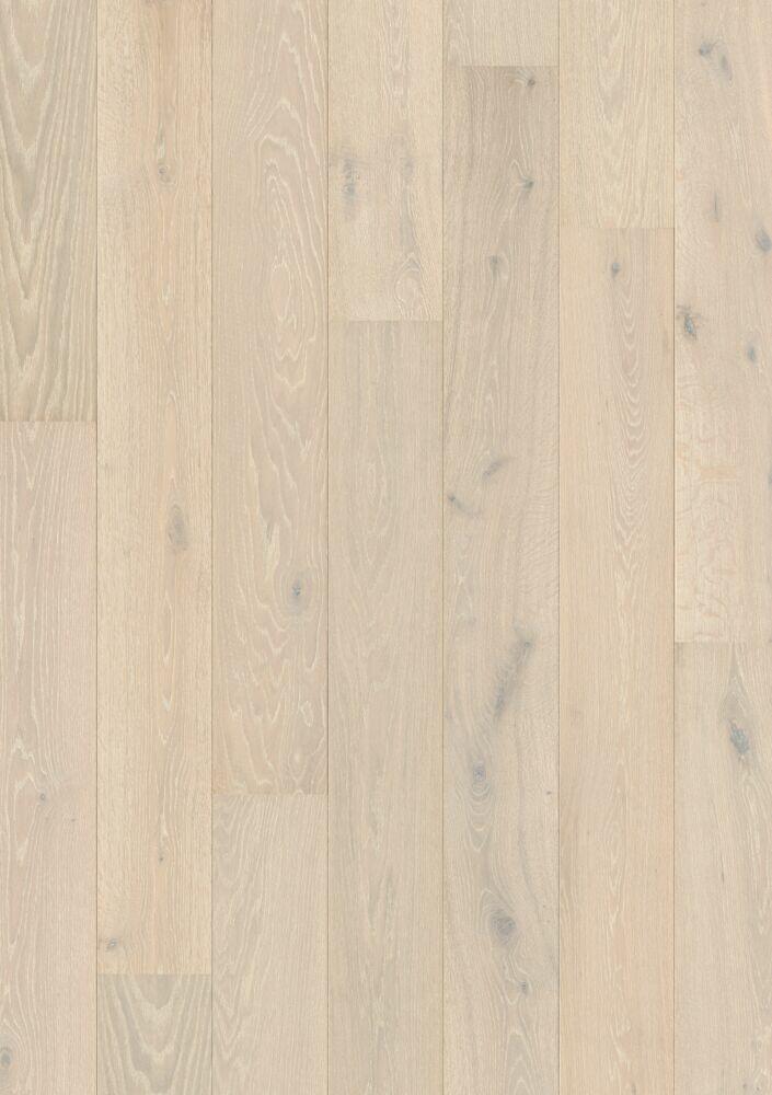ARCTIC OAK