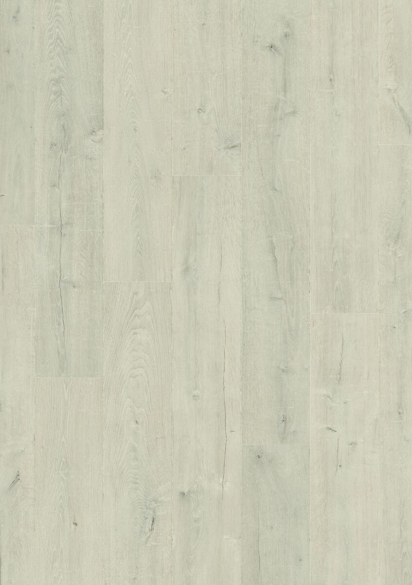 MATURE WHITE OAK
