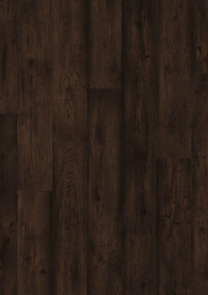 MATURE BROWN OAK