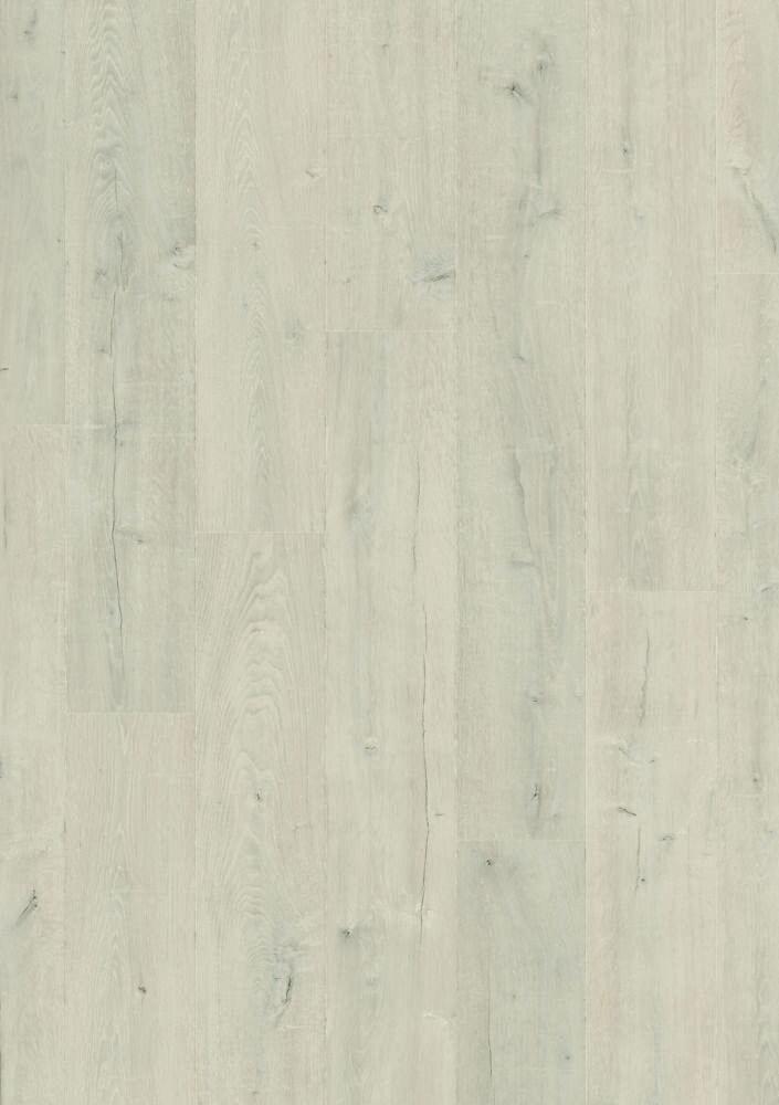MATURE WHITE OAK