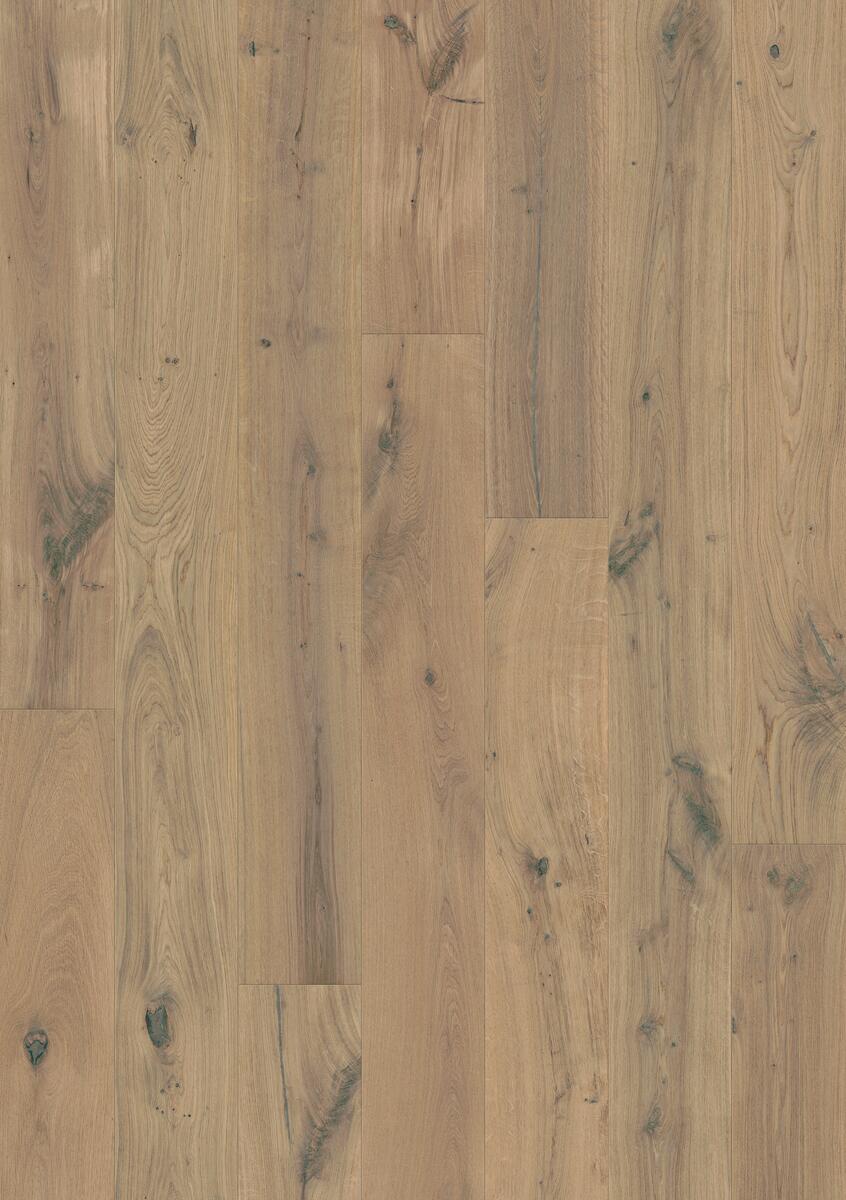 SUBLIME OAK