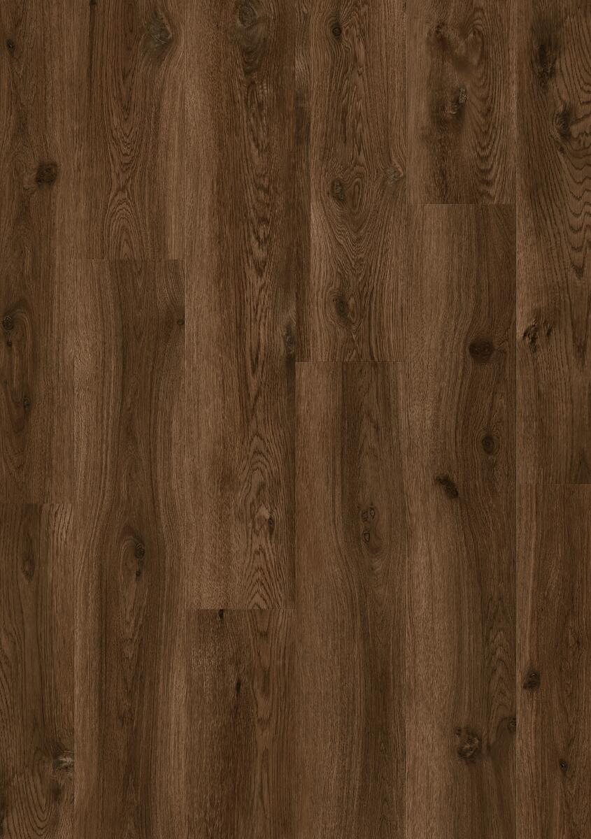 MODERN COF OAK