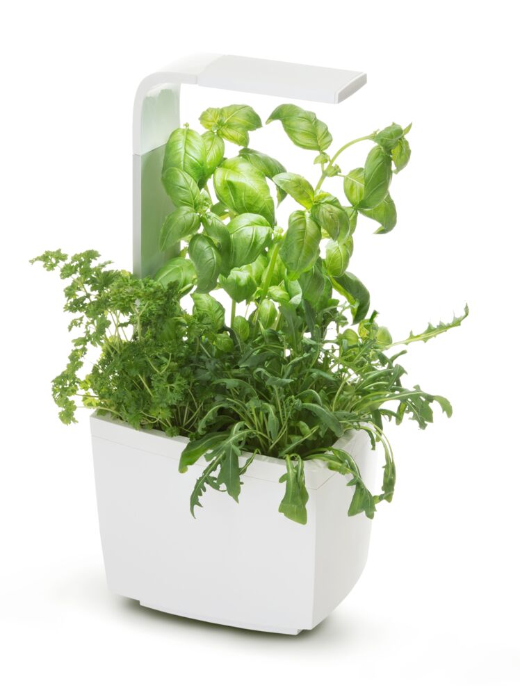 Produkt miniatyrebild Tregren kjøkkenhage/minidrivhus T3, hvit