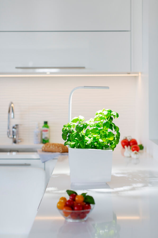 Produkt miniatyrebild Tregren kjøkkenhage/minidrivhus T3, hvit