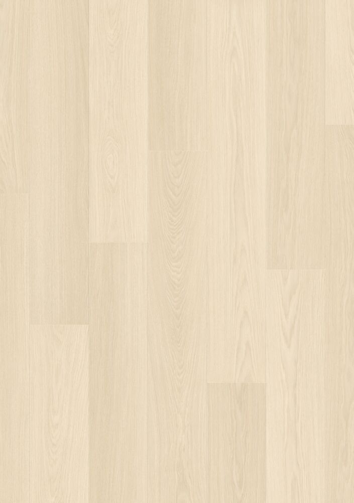 LIMFJORD OAK