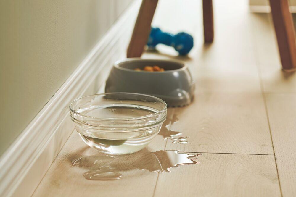 Produkt miniatyrebild Pergo visby  Plank