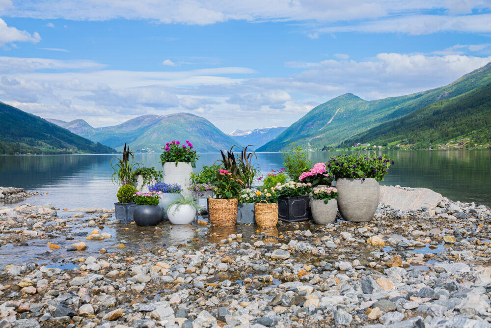 Produkt miniatyrebild Odle Bergen potte