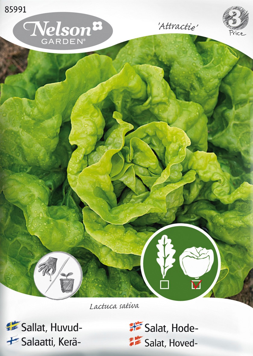 Produkt miniatyrebild Nelson Garden frø Salat, Hode-, Attractie