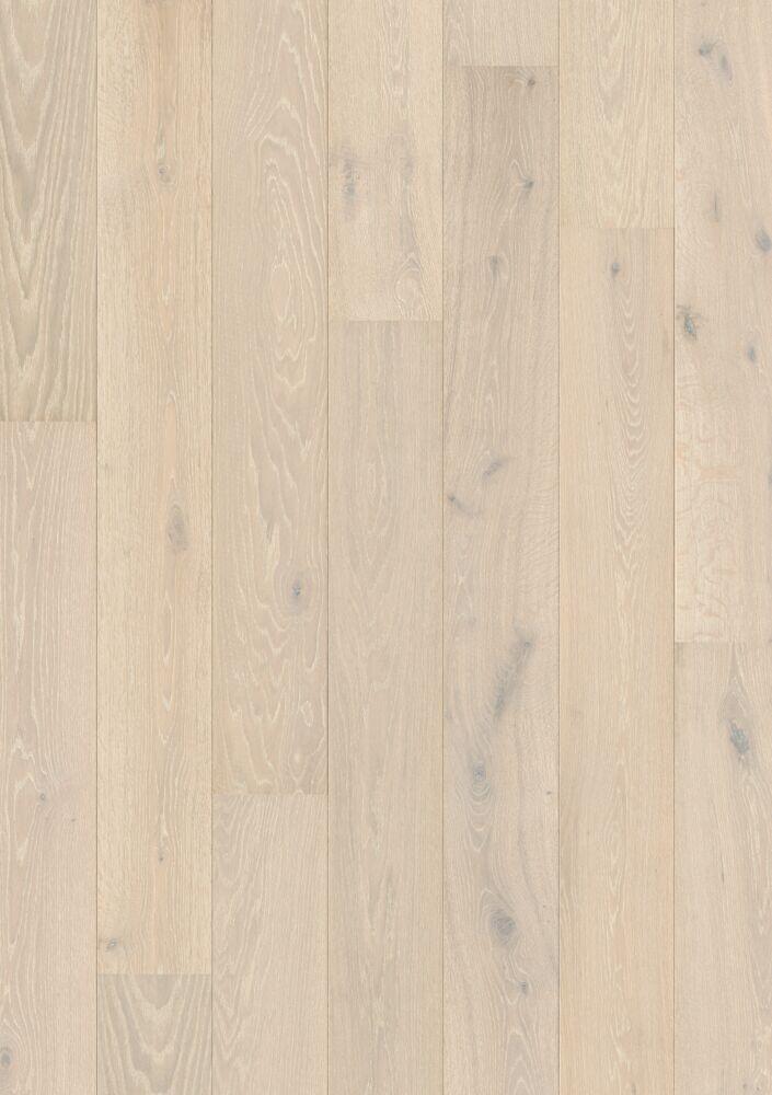 ARCTIC OAK