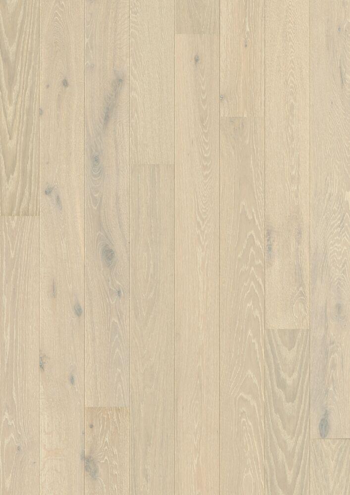 ARCTIC OAK