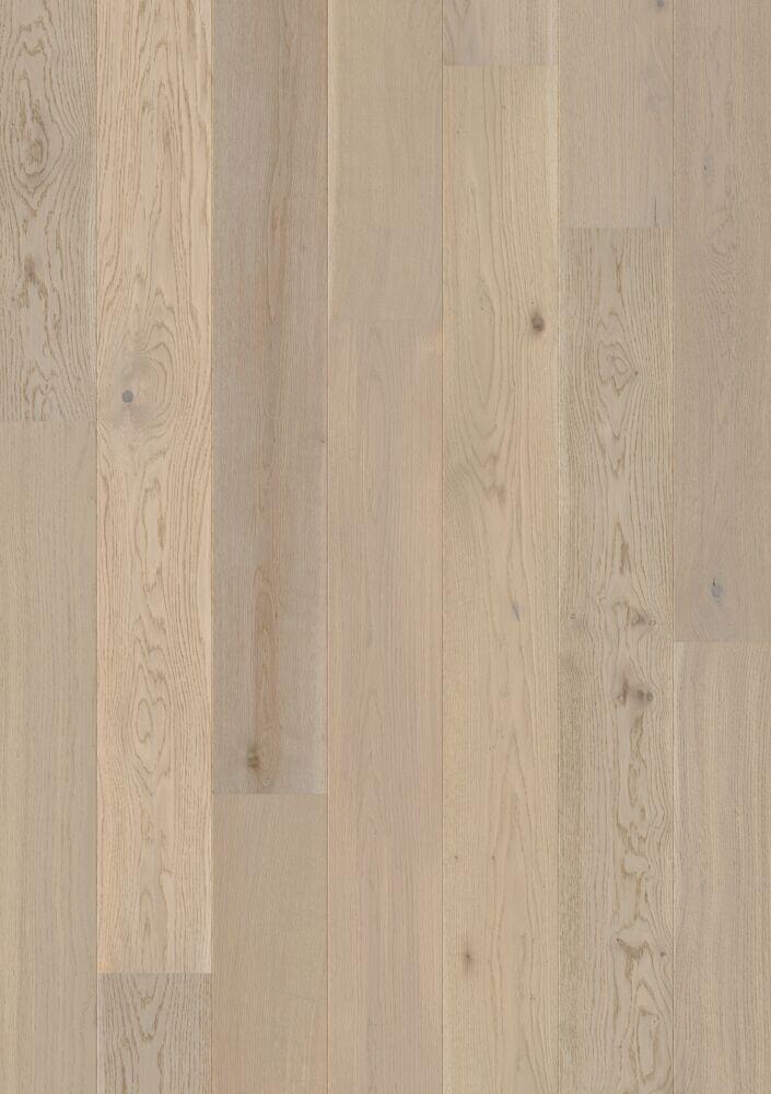 HARBOUSIDE OAK