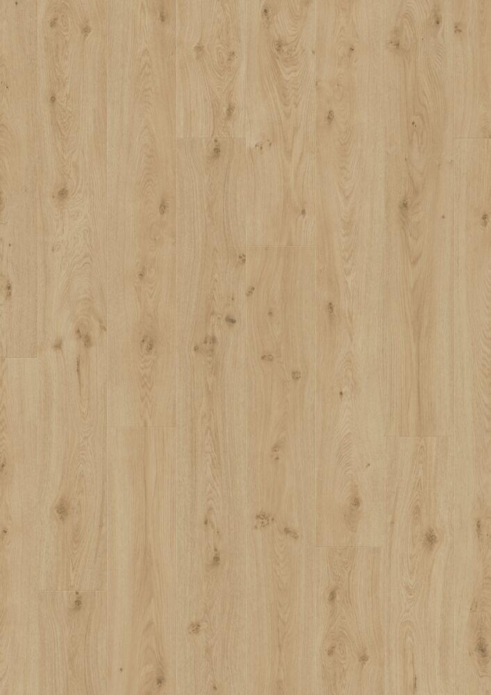 SPRING OAK