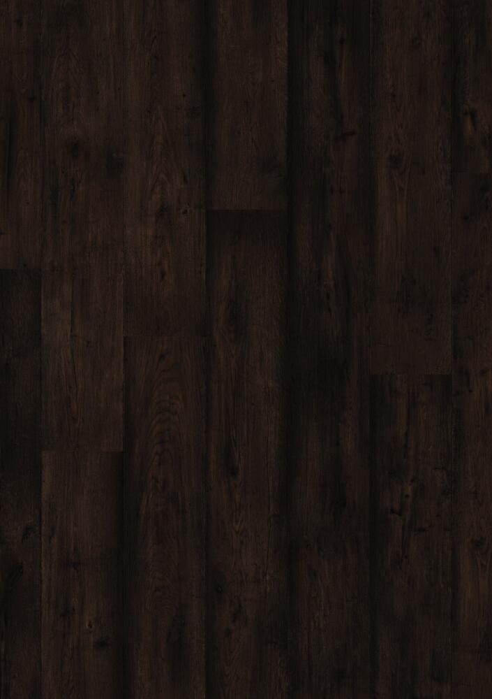MATURE BROWN OAK